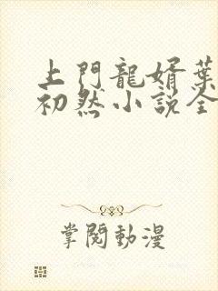 上门龙婿叶辰萧初然小说全文阅读封面