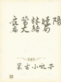 夜莺林晓阳番外篇大结局