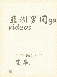 亚洲男同gayvideos