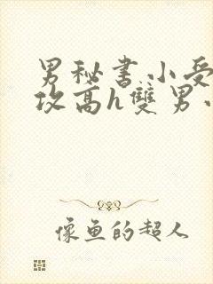 男秘书小受引诱攻高h双男小说