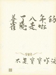 养了八年的金丝雀飞走啦