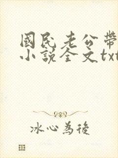 国民老公带回家小说全文txt