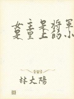 女主是将军男主是皇上的小说