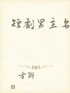 短剧男主名字