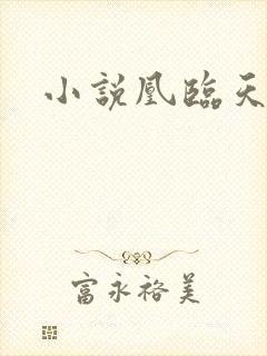 小说凰临天下