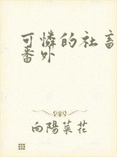 可怜的社畜最新番外