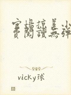 官场掠美小说免费阅读无弹窗