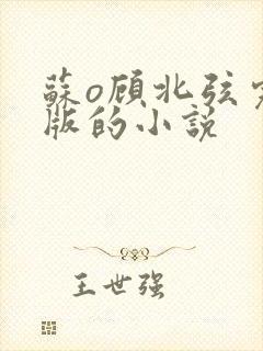 苏o顾北弦完结版的小说封面