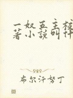 一奴五主校花原著小说叫什么