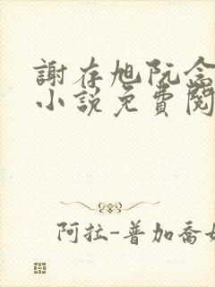 谢存旭阮念清的小说免费阅读封面