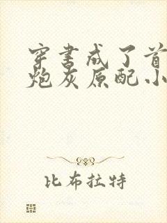 穿书成了首辅的炮灰原配小说