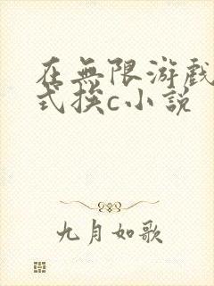 在无限游戏里花式挨c小说封面