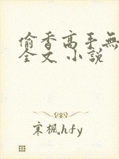 偷香高手无删减全文 小说