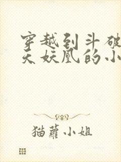 穿越到斗破成为天妖凰的小说