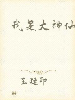 我是大神仙小说