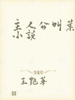 主人公叫叶凡的小说