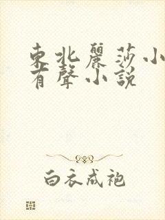 东北丽莎小苮儿有声小说封面