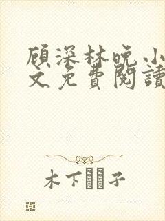 顾深林晚小说全文免费阅读封面