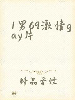 1男69激情gay片封面
