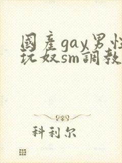 国产gay男性玩奴sm调教视频封面