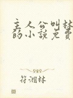 主人公叫林不悔的小说免费阅读