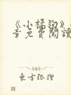 《小橘狗》68章免费阅读全文