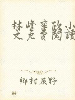 林峰宁欣小说全文免费阅读笔趣阁