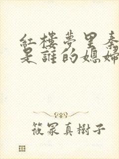 红楼梦里秦可卿是谁的媳妇