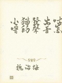 小猫发出咕噜咕噜的声音怎么回事