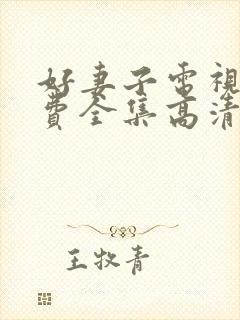 好妻子电视剧免费全集高清在线观看