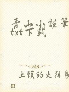 青山小说笔趣阁txt下载