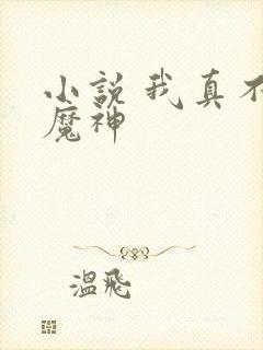 小说 我真不是魔神
