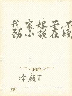 我家娘子,不对劲小说在线免费