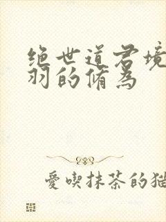 绝世道君境界陆羽的修为