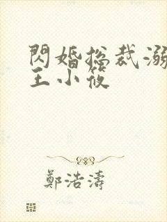 闪婚总裁溺宠妻王小筱封面