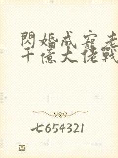 闪婚成宠老公是千亿大佬战胤海