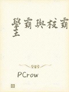 学霸与校霸双男主