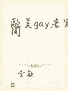 欧美gay老男同封面