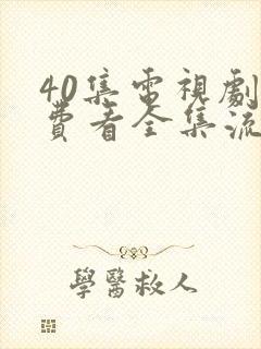 40集电视剧免费看全集流封面