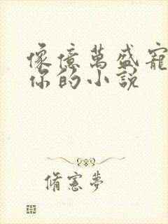 像亿万盛宠只为你的小说