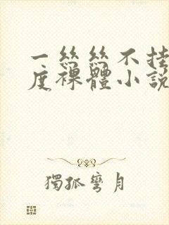 一丝丝不挂大尺度裸体小说