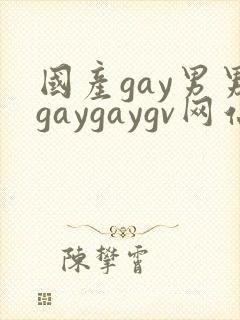国产gay男男gaygaygv网站