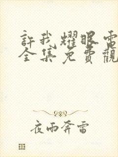 许我耀眼电视剧全集免费观看高清版