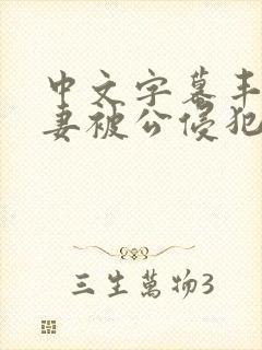 中文字幕丰满人妻被公侵犯