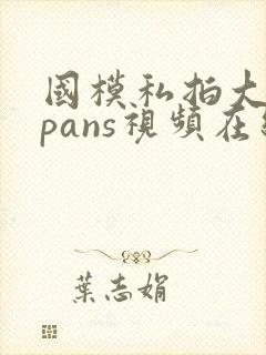 国模私拍大尺度pans视频在线封面
