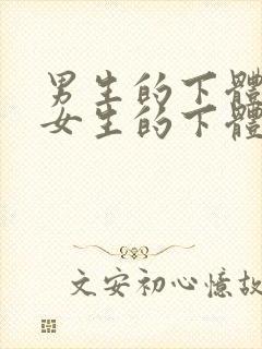 男生的下体插入女生的下体视频封面