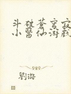 斗破苍穹寂寞的小医仙游戏世界