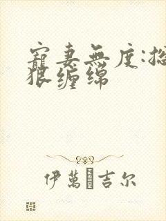 宠妻无度:总裁狠缠绵