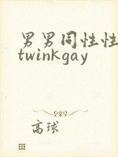 男男同性性行为twinkgay