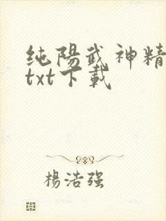 纯阳武神精校版txt下载